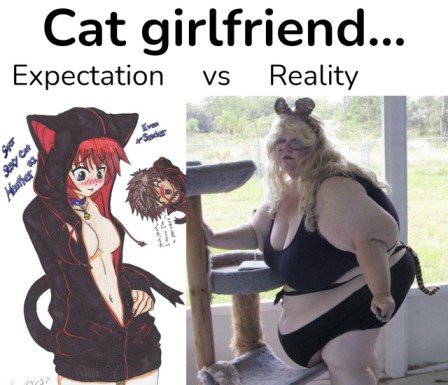 Cat girlfriend cringe expectations